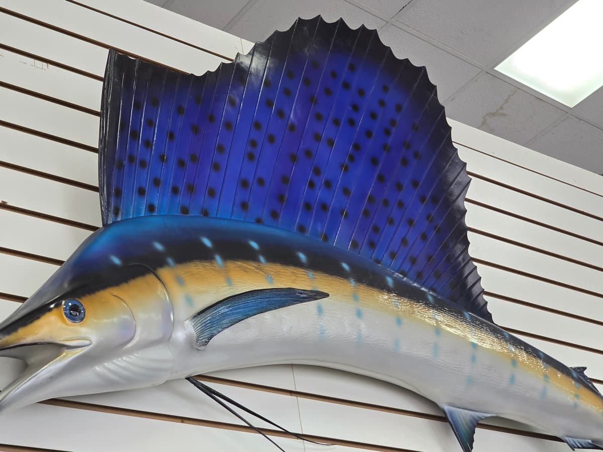 Large Sailfish Wall Mount Replica - Blue/Yellow Game Fish Display 2