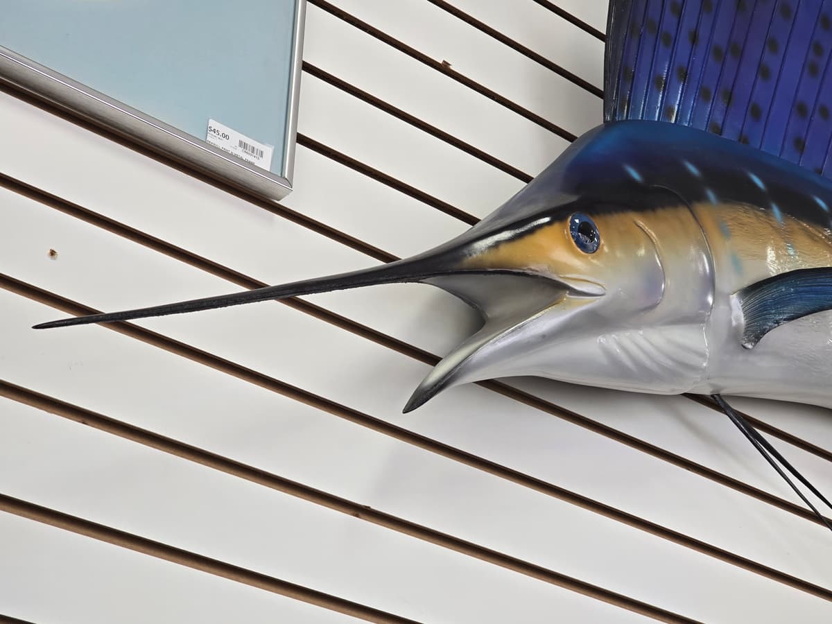 Large Sailfish Wall Mount Replica - Blue/Yellow Game Fish Display 3
